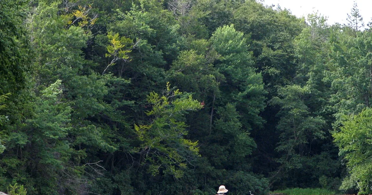 Wawayanda State Park Trail