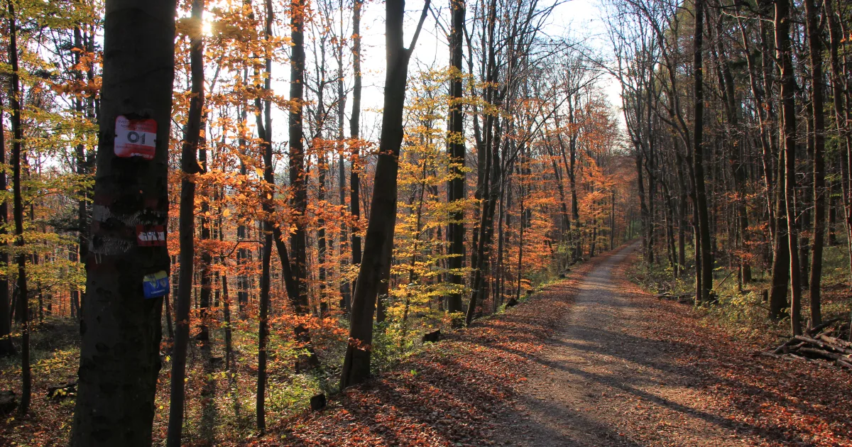 WB&A Trail