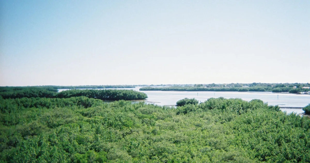 Weedon Island Preserve Trail — St. Petersburg, Florida