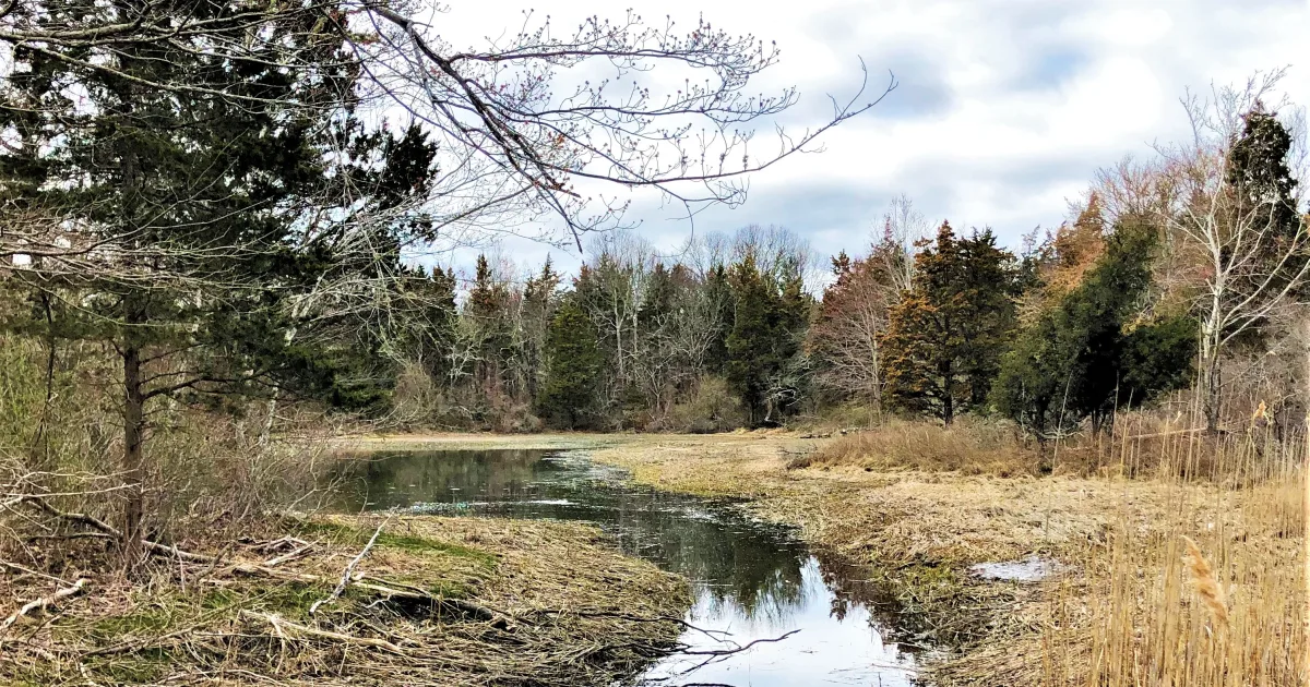 Weetamoo Woods Loop — Tiverton, Rhode Island