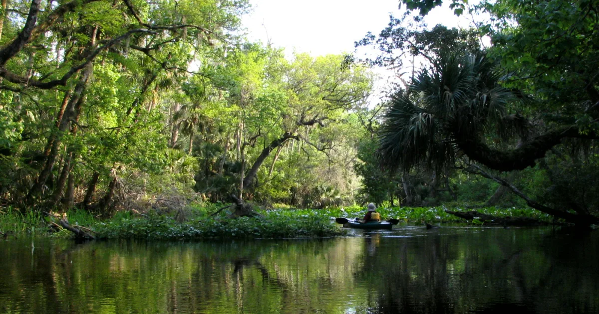Wekiwa Springs Trail — Wekiwa Springs SP, FL