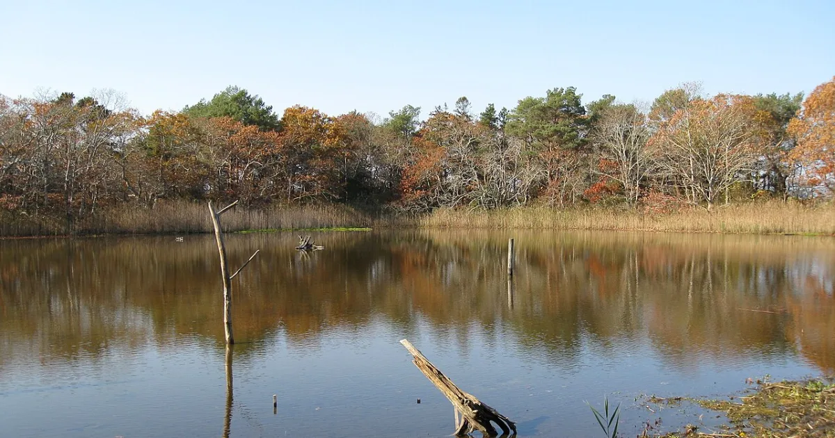 Wellfleet Bay Wildlife Sanctuary Trail