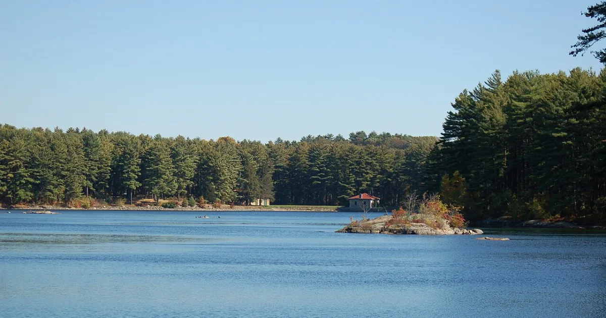 Weston Lake Loop — Congaree National Park, SC