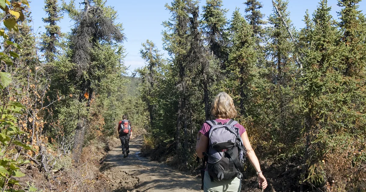 White Mountains Summit Trail