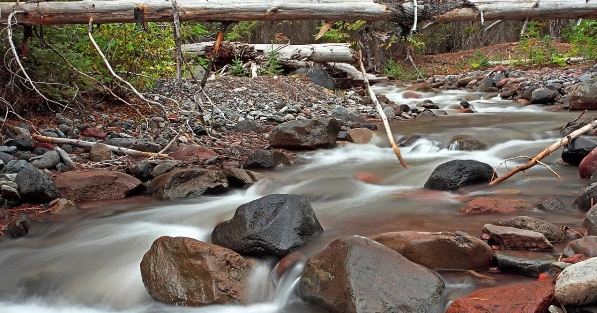 Whychus Creek Trail
