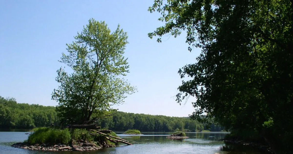 Wild River State Park Trail