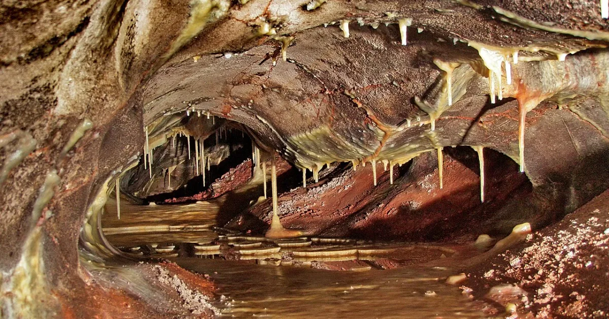 Wind Cave National Park Trail