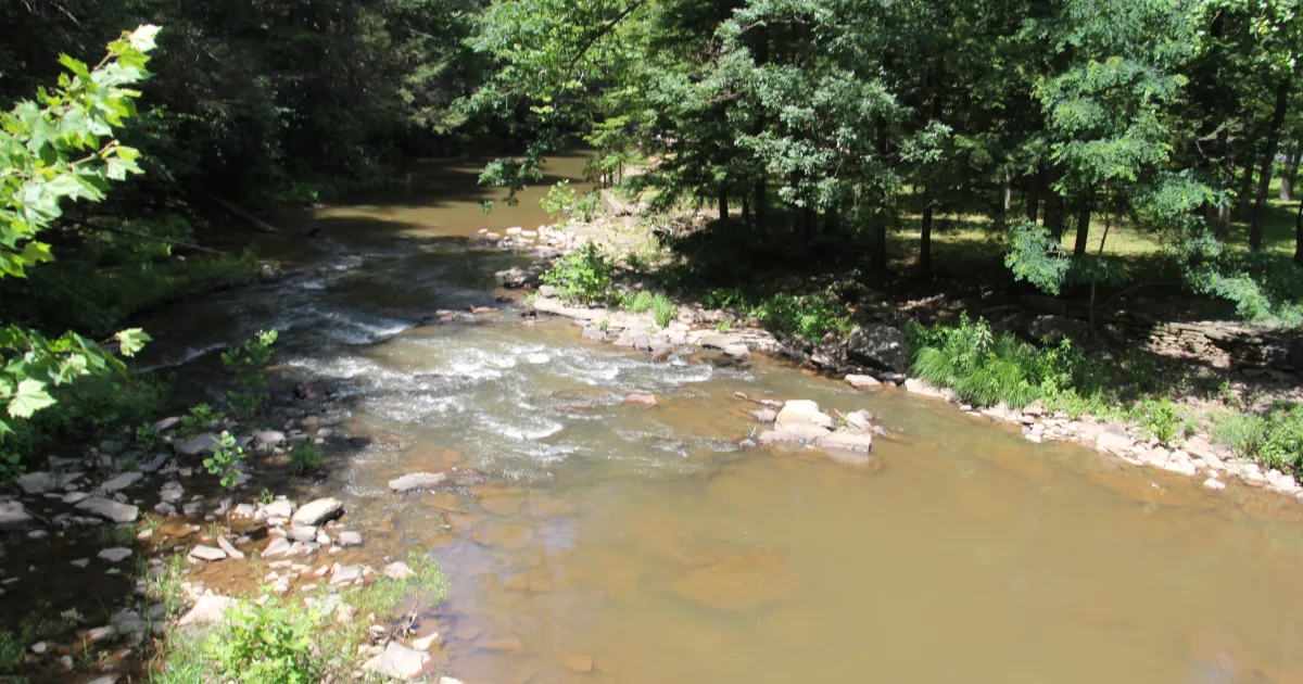 Wind Creek State Park Trail