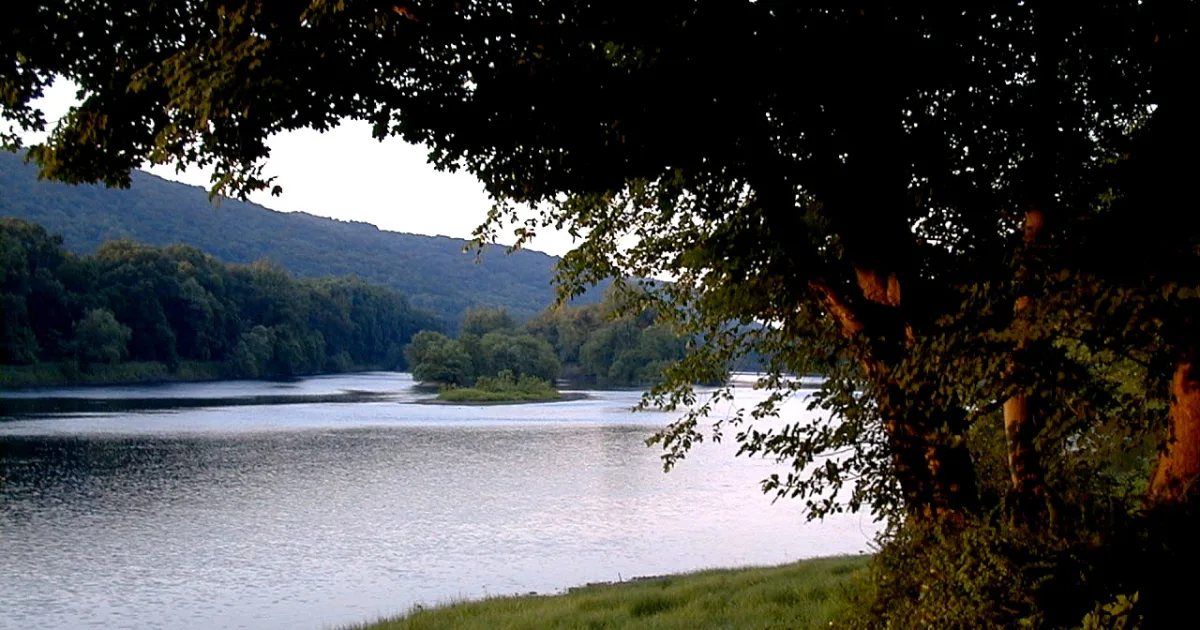 Worthington State Forest Trail