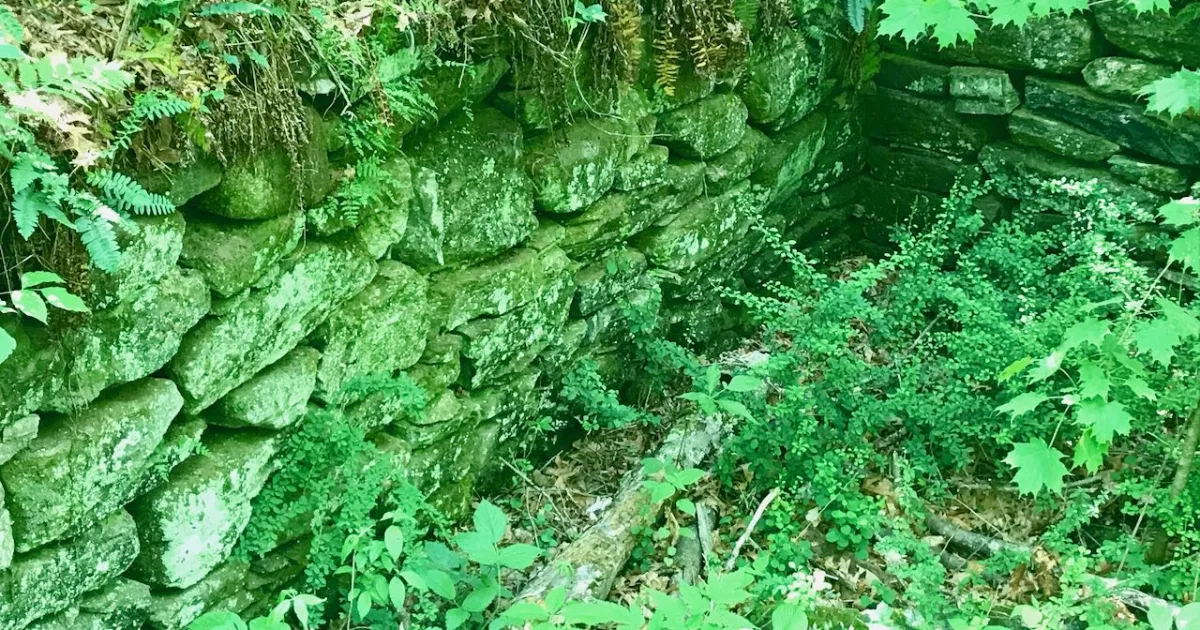 Yellow River State Forest MTB — Harpers Ferry, Iowa
